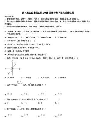 吉林省白山市长白县2025届数学七下期末经典试题含解析