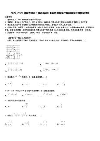 2024-2025学年吉林省长春市高新区七年级数学第二学期期末统考模拟试题含解析