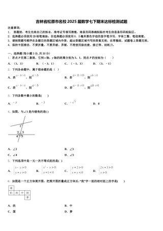 吉林省松原市名校2025届数学七下期末达标检测试题含解析