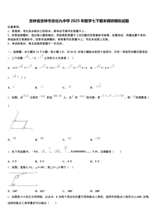吉林省吉林市吉化九中学2025年数学七下期末调研模拟试题含解析