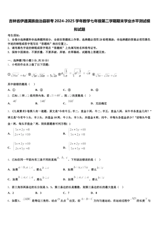 吉林省伊通满族自治县联考2024-2025学年数学七年级第二学期期末学业水平测试模拟试题含解析