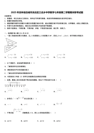 2025年吉林省白城市洮北区三合乡中学数学七年级第二学期期末联考试题含解析