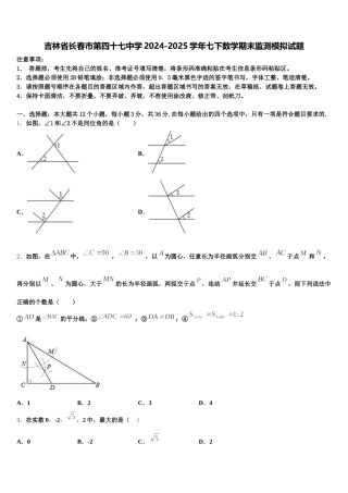 吉林省长春市第四十七中学2024-2025学年七下数学期末监测模拟试题含解析