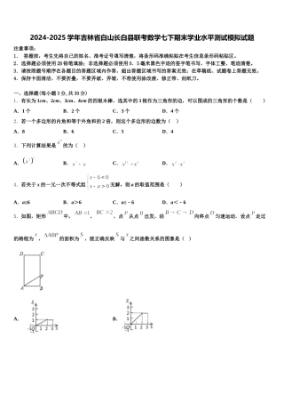 2024-2025学年吉林省白山长白县联考数学七下期末学业水平测试模拟试题含解析