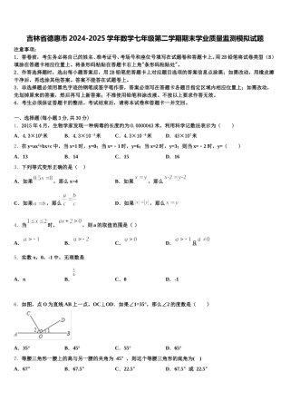 吉林省德惠市2024-2025学年数学七年级第二学期期末学业质量监测模拟试题含解析
