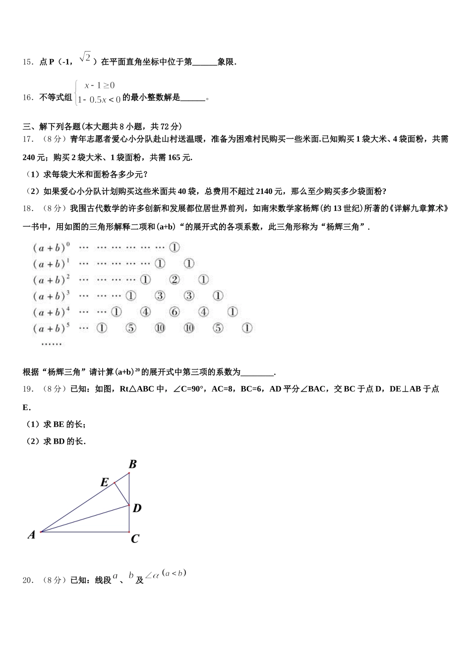 吉林省白山市名校2024-2025学年数学七下期末检测模拟试题含解析_第3页