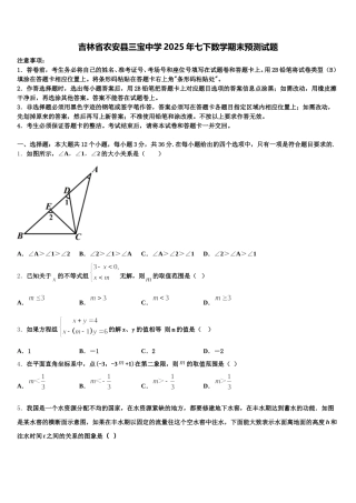 吉林省农安县三宝中学2025年七下数学期末预测试题含解析