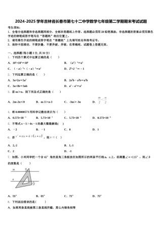 2024-2025学年吉林省长春市第七十二中学数学七年级第二学期期末考试试题含解析