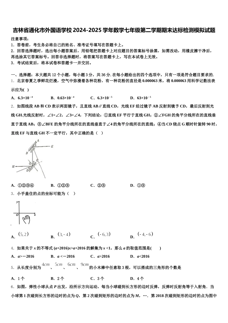 吉林省通化市外国语学校2024-2025学年数学七年级第二学期期末达标检测模拟试题含解析_第1页