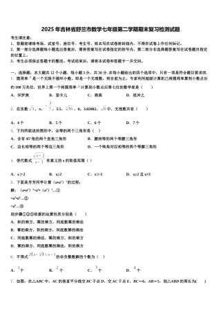 2025年吉林省舒兰市数学七年级第二学期期末复习检测试题含解析