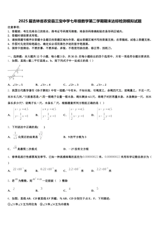 2025届吉林省农安县三宝中学七年级数学第二学期期末达标检测模拟试题含解析