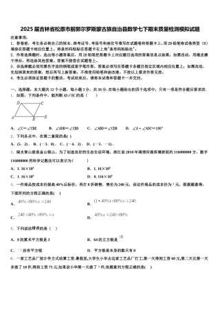 2025届吉林省松原市前郭尔罗斯蒙古族自治县数学七下期末质量检测模拟试题含解析