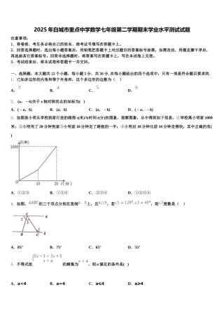 2025年白城市重点中学数学七年级第二学期期末学业水平测试试题含解析