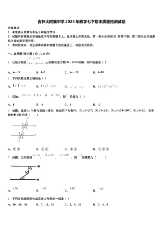 吉林大附属中学2025年数学七下期末质量检测试题含解析