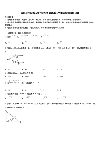 吉林省白城市大安市2025届数学七下期末监测模拟试题含解析
