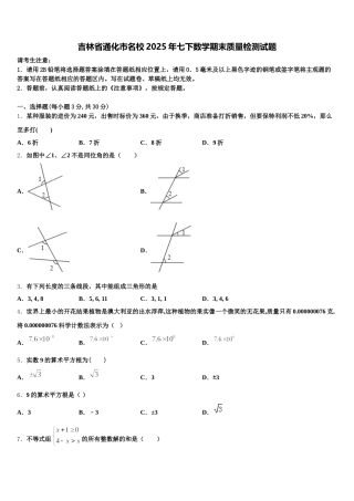 吉林省通化市名校2025年七下数学期末质量检测试题含解析