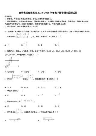 吉林省长春市五校2024-2025学年七下数学期末监测试题含解析