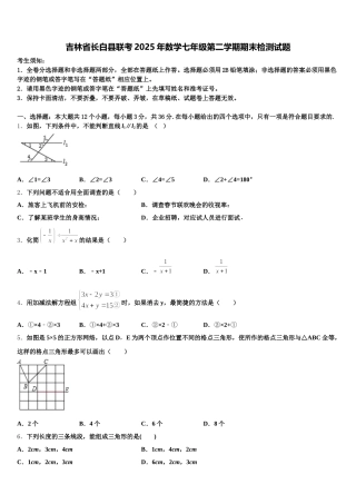 吉林省长白县联考2025年数学七年级第二学期期末检测试题含解析