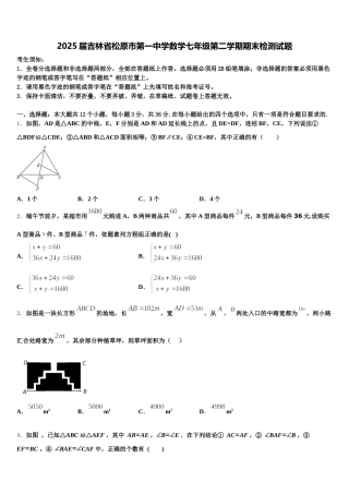 2025届吉林省松原市第一中学数学七年级第二学期期末检测试题含解析