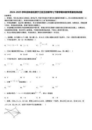 2024-2025学年吉林省松原宁江区五校联考七下数学期末教学质量检测试题含解析