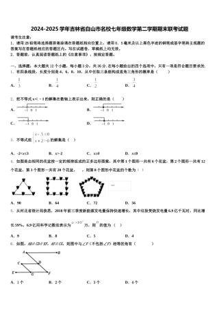 2024-2025学年吉林省白山市名校七年级数学第二学期期末联考试题含解析