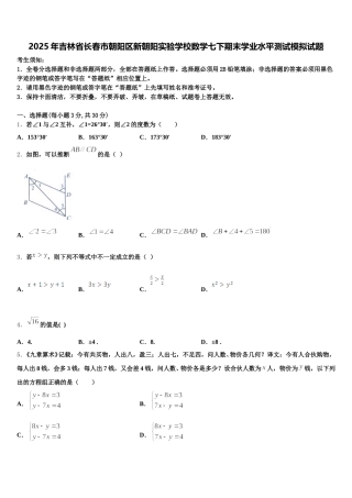 2025年吉林省长春市朝阳区新朝阳实验学校数学七下期末学业水平测试模拟试题含解析