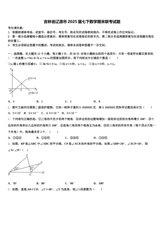 吉林省辽源市2025届七下数学期末联考试题含解析