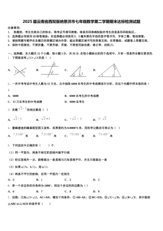 2025届云南省西双版纳景洪市七年级数学第二学期期末达标检测试题含解析