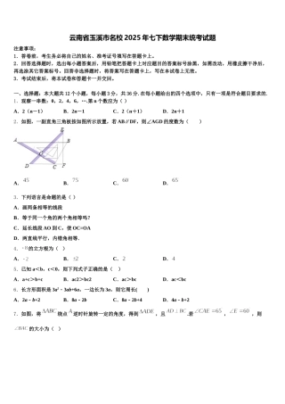 云南省玉溪市名校2025年七下数学期末统考试题含解析