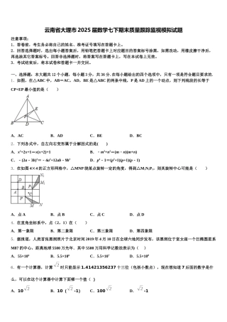 云南省大理市2025届数学七下期末质量跟踪监视模拟试题含解析