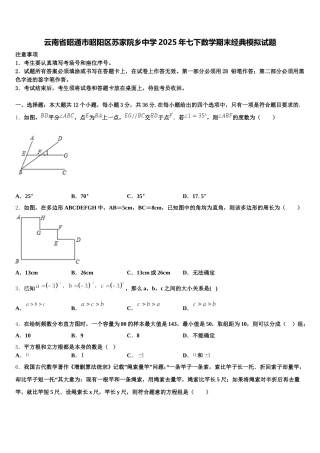 云南省昭通市昭阳区苏家院乡中学2025年七下数学期末经典模拟试题含解析