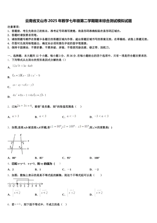 云南省文山市2025年数学七年级第二学期期末综合测试模拟试题含解析