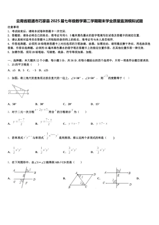 云南省昭通市巧家县2025届七年级数学第二学期期末学业质量监测模拟试题含解析