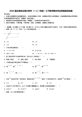 2025届云南省云南大附中（一二一校区）七下数学期末学业质量监测试题含解析