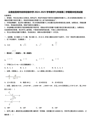 云南省昆明市祯祥初级中学2024-2025学年数学七年级第二学期期末检测试题含解析