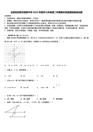 云南省弥勒市朋普中学2025年数学七年级第二学期期末质量跟踪监视试题含解析