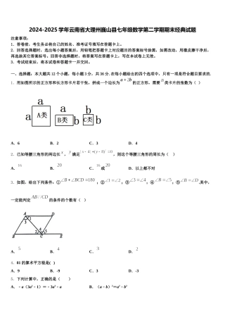 2024-2025学年云南省大理州巍山县七年级数学第二学期期末经典试题含解析