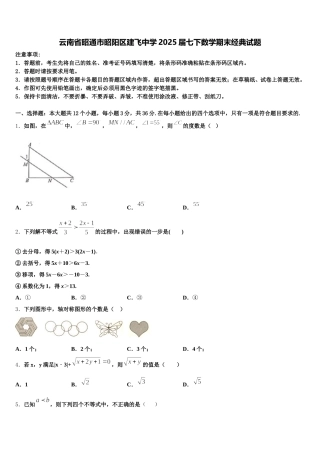 云南省昭通市昭阳区建飞中学2025届七下数学期末经典试题含解析