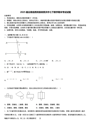 2025届云南省西双版纳景洪市七下数学期末考试试题含解析
