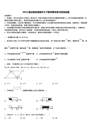 2025届云南省楚雄市七下数学期末复习检测试题含解析