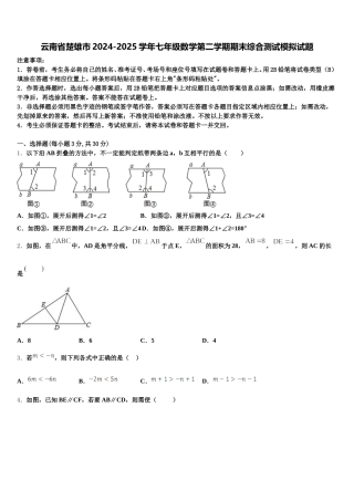 云南省楚雄市2024-2025学年七年级数学第二学期期末综合测试模拟试题含解析