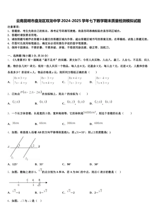 云南昆明市盘龙区双龙中学2024-2025学年七下数学期末质量检测模拟试题含解析