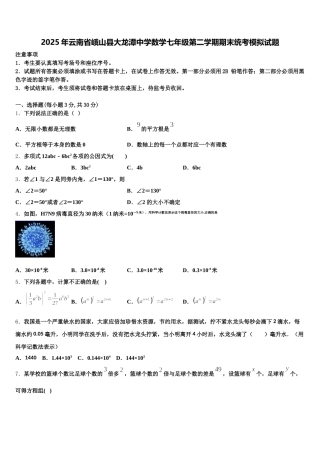 2025年云南省峨山县大龙潭中学数学七年级第二学期期末统考模拟试题含解析
