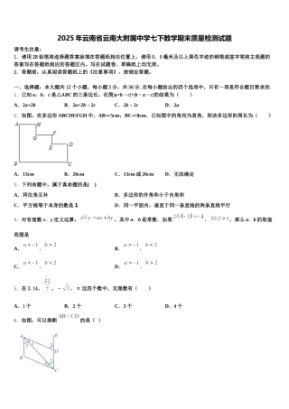 2025年云南省云南大附属中学七下数学期末质量检测试题含解析