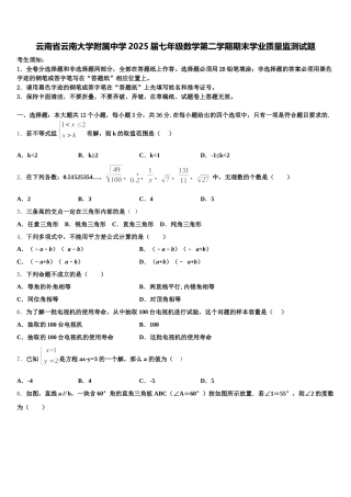 云南省云南大学附属中学2025届七年级数学第二学期期末学业质量监测试题含解析