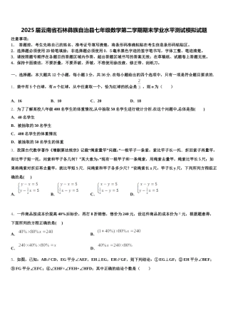 2025届云南省石林彝族自治县七年级数学第二学期期末学业水平测试模拟试题含解析