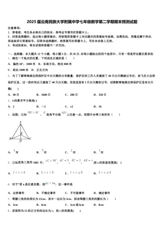 2025届云南民族大学附属中学七年级数学第二学期期末预测试题含解析