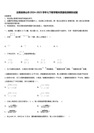 云南省保山市2024-2025学年七下数学期末质量检测模拟试题含解析