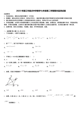 2025年丽江市重点中学数学七年级第二学期期末监测试题含解析