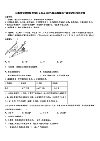 云南师大附中呈贡校区2024-2025学年数学七下期末达标检测试题含解析